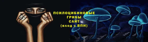 spice Арсеньев