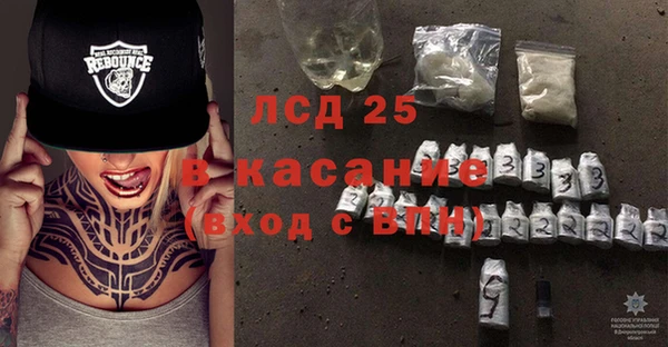 стаф Аркадак