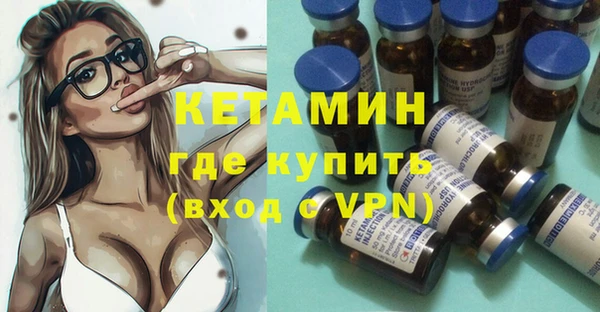 стаф Аркадак