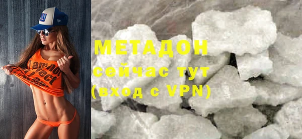 стаф Аркадак